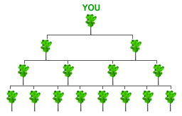 MLM Tree
