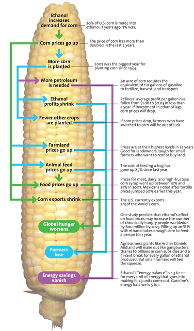 Jagung karena ethanol