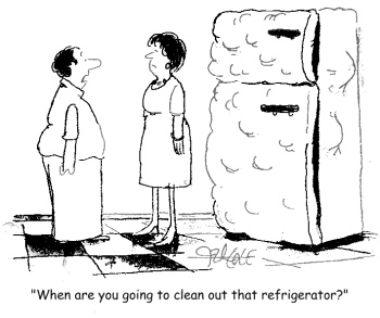 cleanfridge3 cleanfridge3