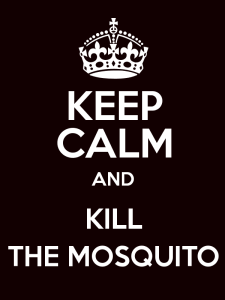 kill-mosquito